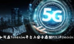 如何在Tokenim平台上安全存储FIL（Filecoin）