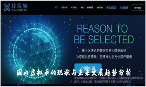 国内虚拟币的现状与未来发展趋势分析