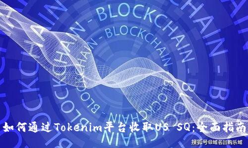 如何通过Tokenim平台收取US SQ：全面指南