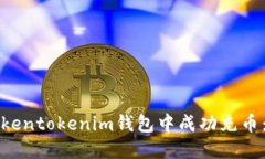 如何在Tokentokenim钱包中成功充币：详细指南