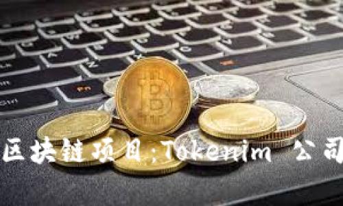 如何选择合适的区块链项目：Tokenim 公司的成功案例分析