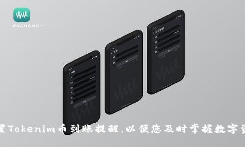 如何设置Tokenim币到账提醒，以便您及时掌握数字资产动态