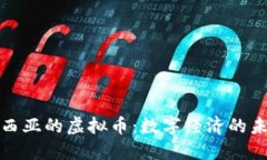 探索马来西亚的虚拟币：数字经济的未来与挑战