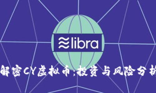 解密CY虚拟币：投资与风险分析