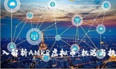 深入解析AMKR虚拟币：机遇