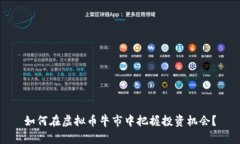 如何在虚拟币牛市中把握