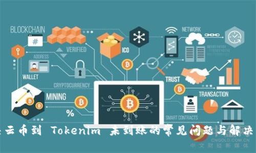 解决云币到 Tokenim 未到账的常见问题与解决方案