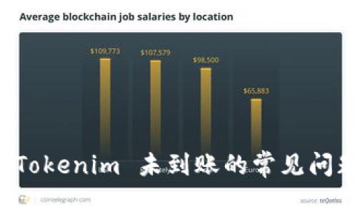 解决云币到 Tokenim 未到账的常见问题与解决方案