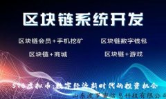  STB虚拟币：数字经济新时
