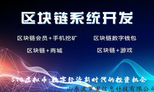  STB虚拟币：数字经济新时代的投资机会
