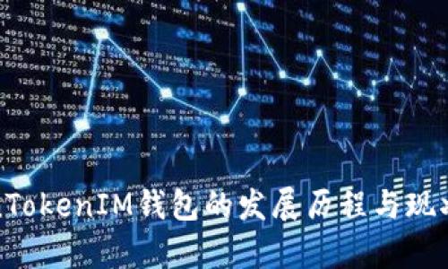 TokenTokenIM钱包的发展历程与现状分析