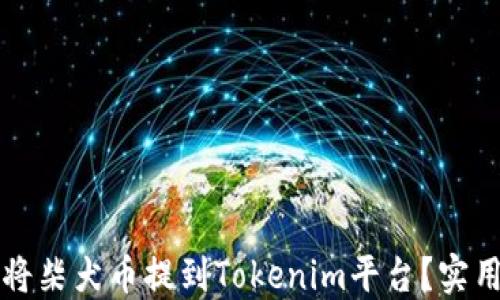 
如何将柴犬币提到Tokenim平台？实用指南