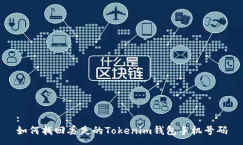 :
如何找回丢失的Tokenim钱包手机号码