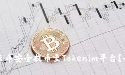 如何将云币安全提币至Tokenim平台？全面指南