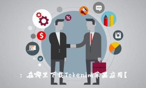 : 在哪里下载Tokenim苹果应用？