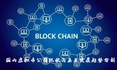  国内虚拟币公司现状与未来发展趋势分析