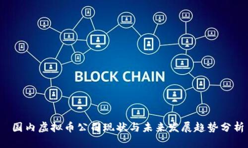  国内虚拟币公司现状与未来发展趋势分析