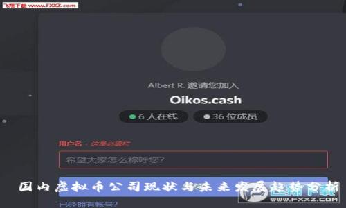  国内虚拟币公司现状与未来发展趋势分析