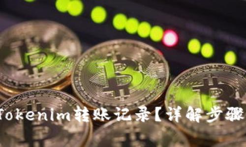  如何查询Tokenim转账记录？详解步骤与注意事项