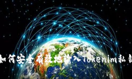 如何安全有效地输入Tokenim私钥