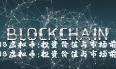 探索YNB虚拟币：投资价值与市场前景分析探索Y