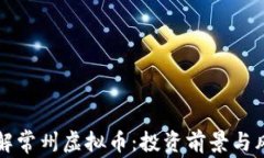 深入了解常州虚拟币：投资前景与风险分析