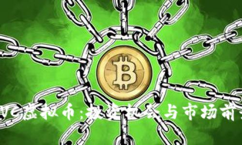探索BVC虚拟币：投资机会与市场前景分析