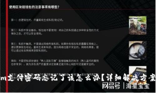 Tokenim支付密码忘记了该怎么办？详细解决方案与建议