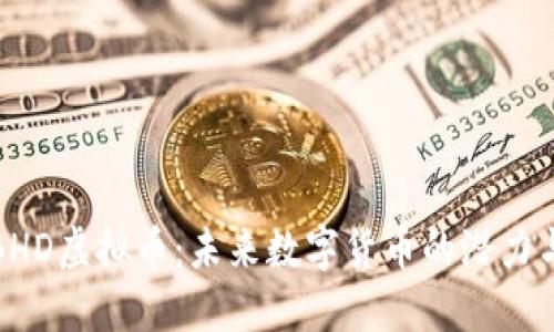 探索BHD虚拟币：未来数字货币的潜力与挑战